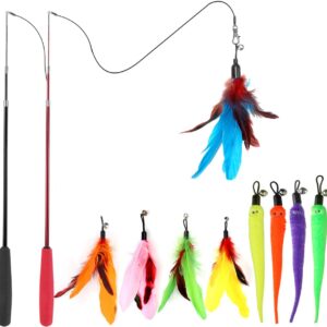 Retractable Wand and Feather Toy