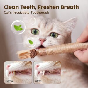 Silvervine Catnip Teeth Cleaning Chew Toy