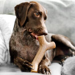 Dog Chew Toys for Aggressive Chewers